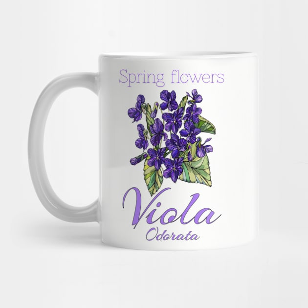 Viola-Vintage Viola -Spring Flowers Viola Odorata by KrasiStaleva